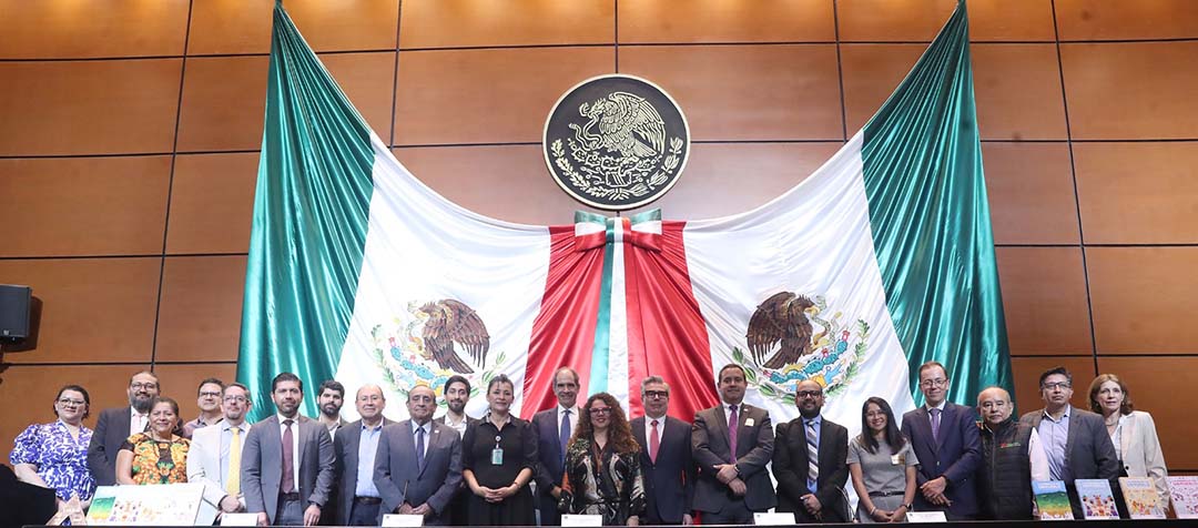 LID Editorial publica en México la cuarta edición de La energía de un pueblo: tejiendo lazos para el futuro en colaboración con la AMEXHI